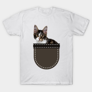 Calico Kitten in Pocket T-Shirt